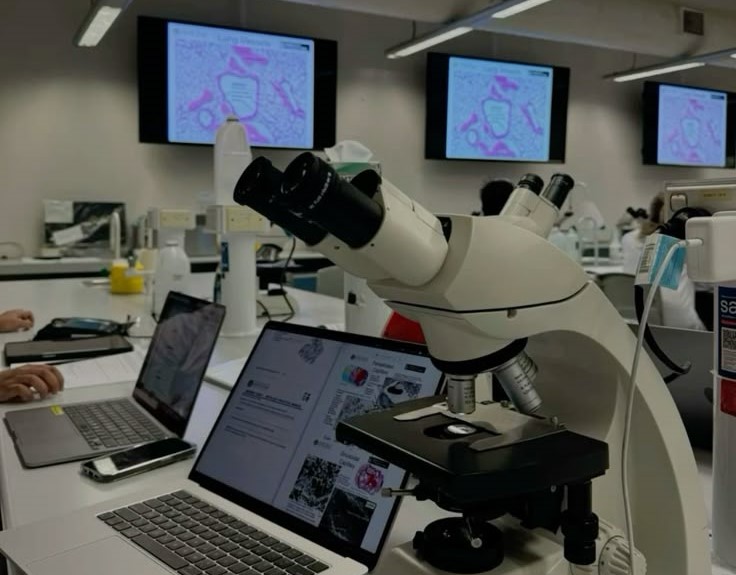 Biomedical Engineering